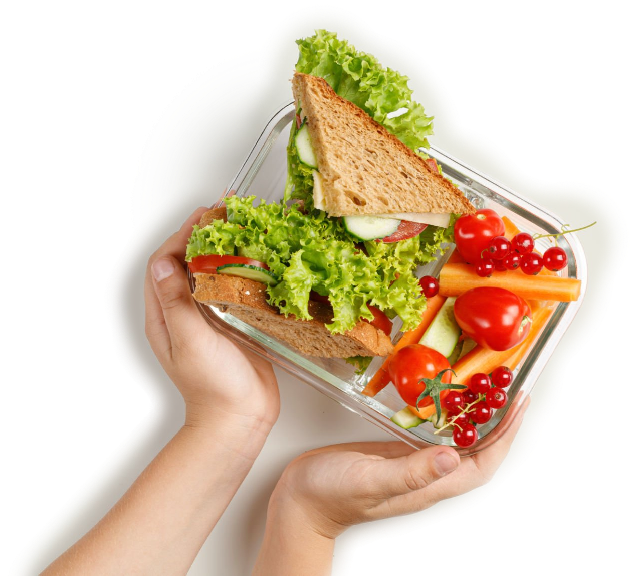 Fresh sandwich in a lunch box — made with Lewis bread
